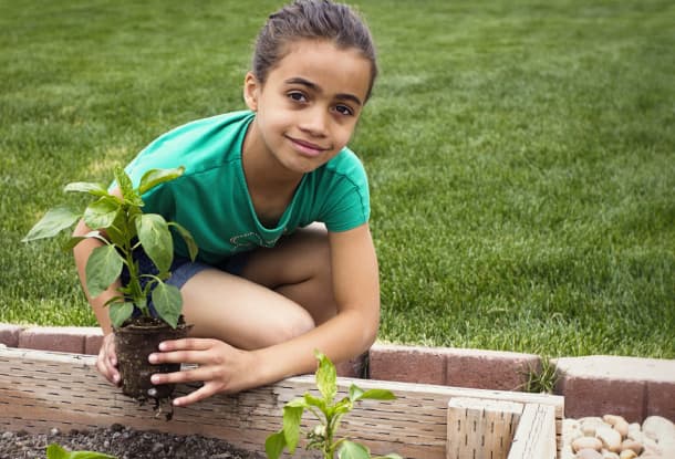 Educação ambiental